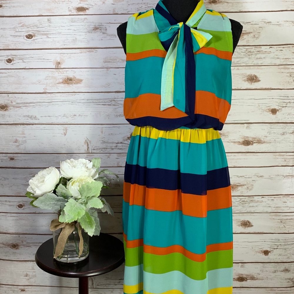 Enfocus Studio Multicolor Striped Retro Dress (8)